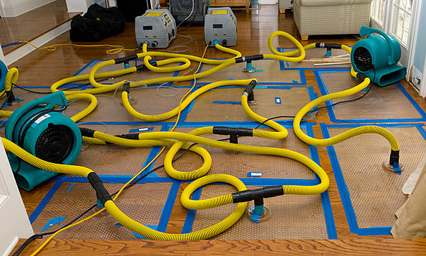 Professional Storm Water Damage Restoration technician working in Prospect, TN